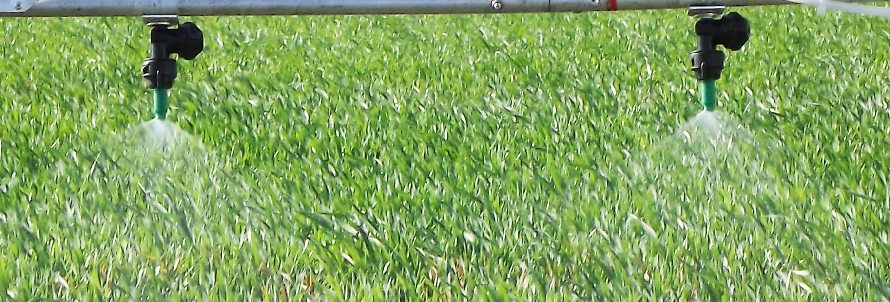 slide-3