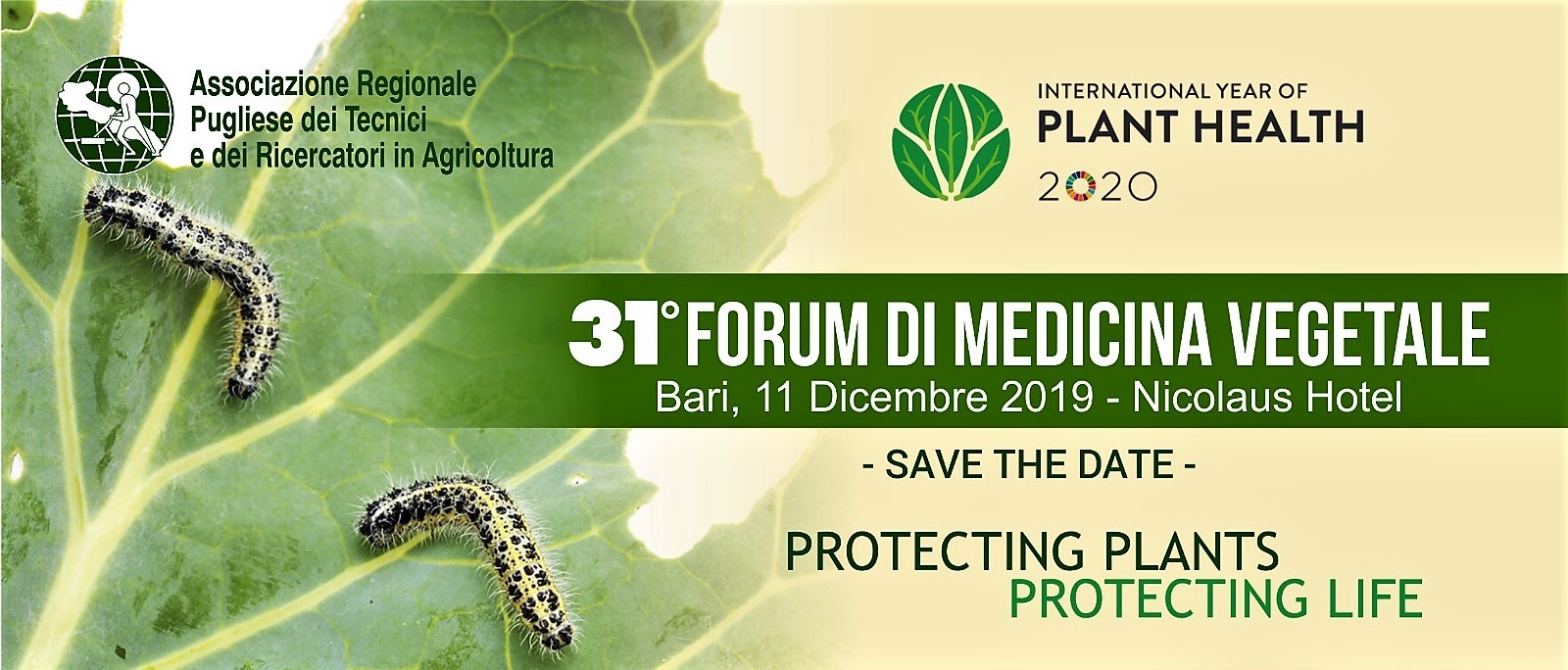 banner-31forum