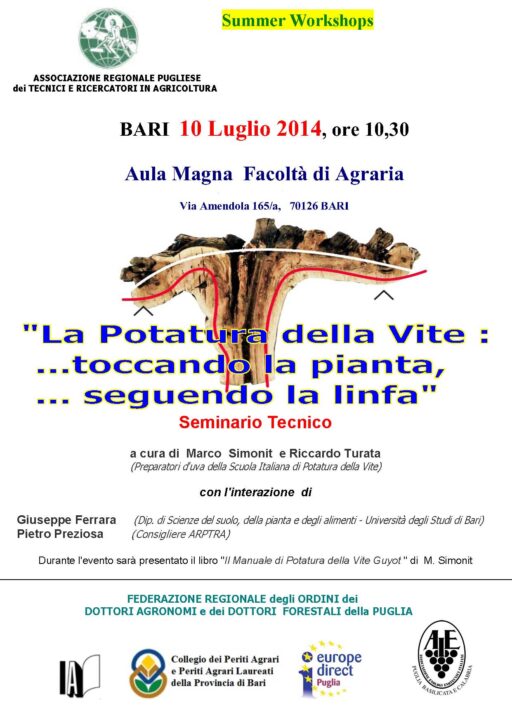 programma seminario 10 luglio 2014 1