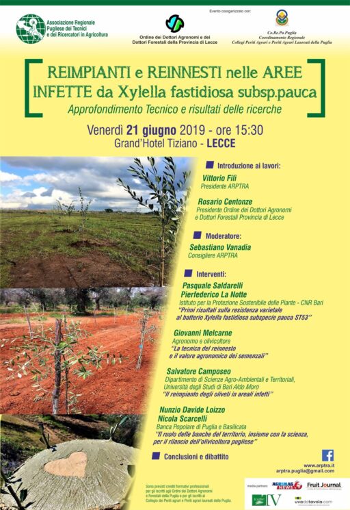 programma-xylella-reimpianti-e-reinnesti