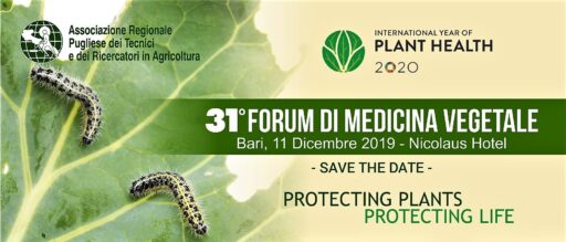 banner-31forum