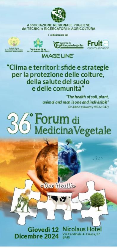 Forum pieghevole F – Copia